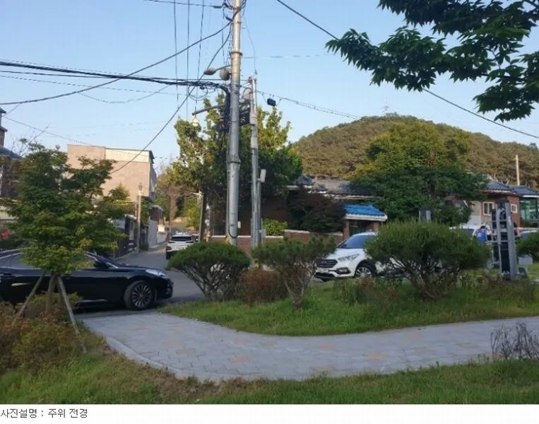 사진 7