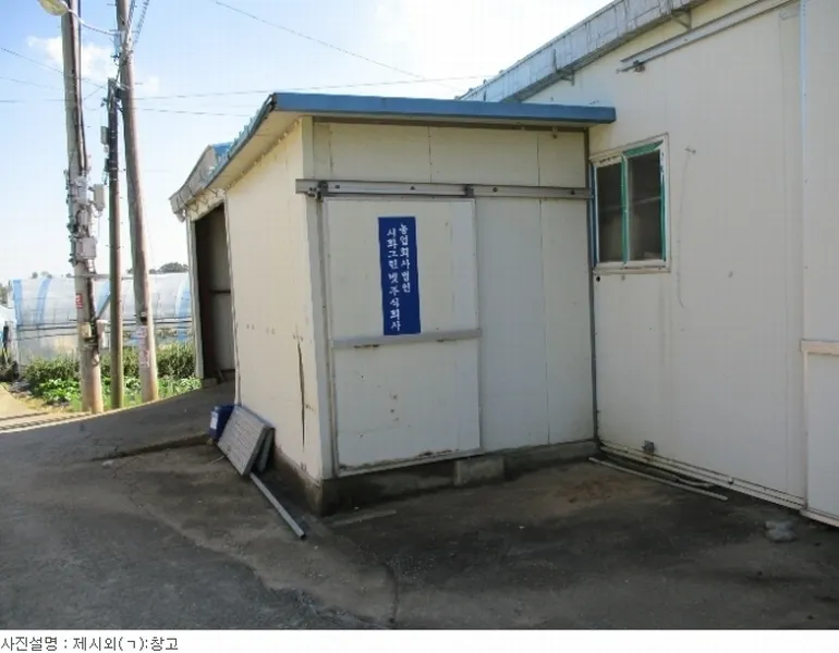 사진 5