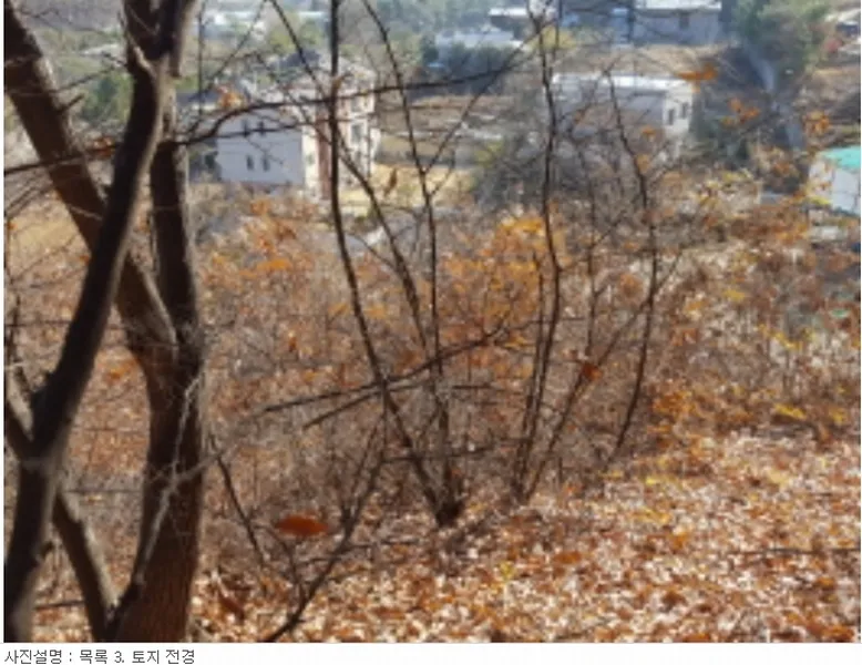 사진 4