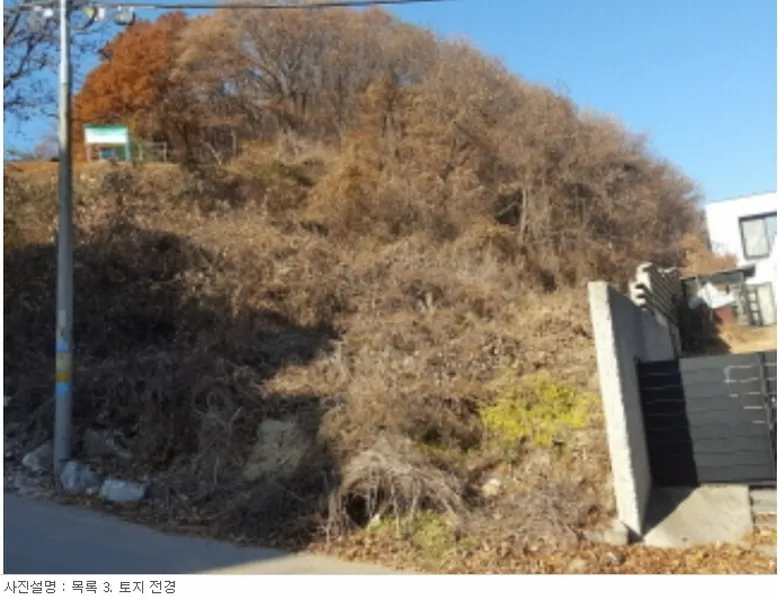 사진 8