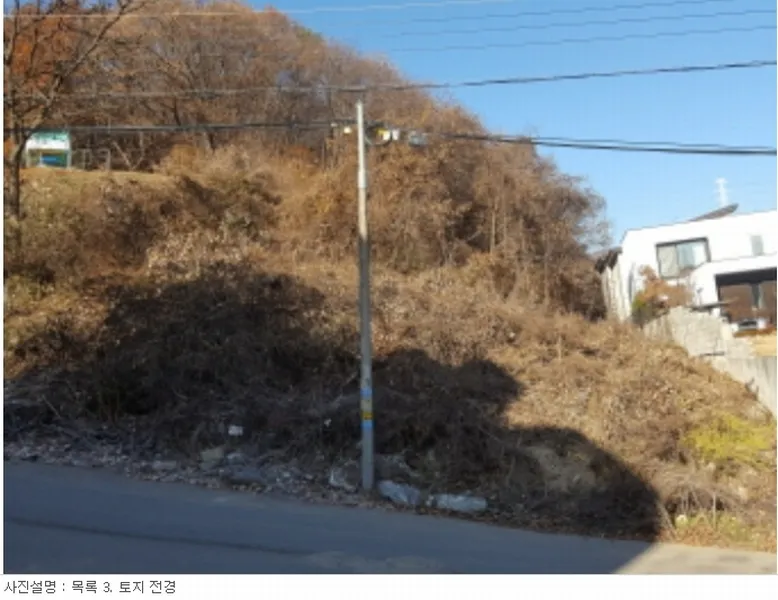 사진 9