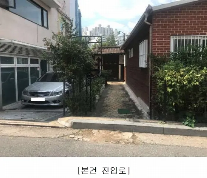 사진 3