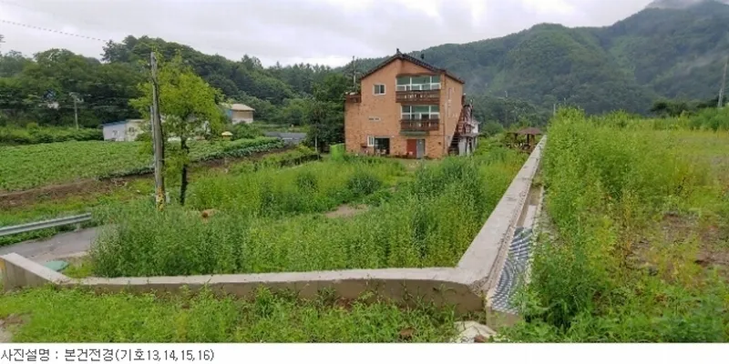사진 10