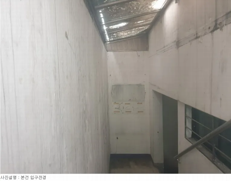 사진 10