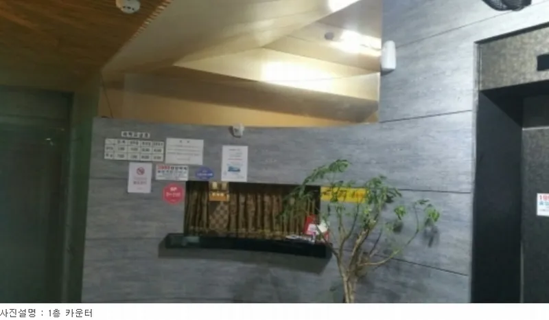 사진 10