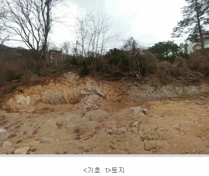 사진 2