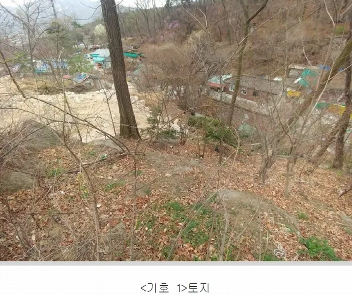 사진 3