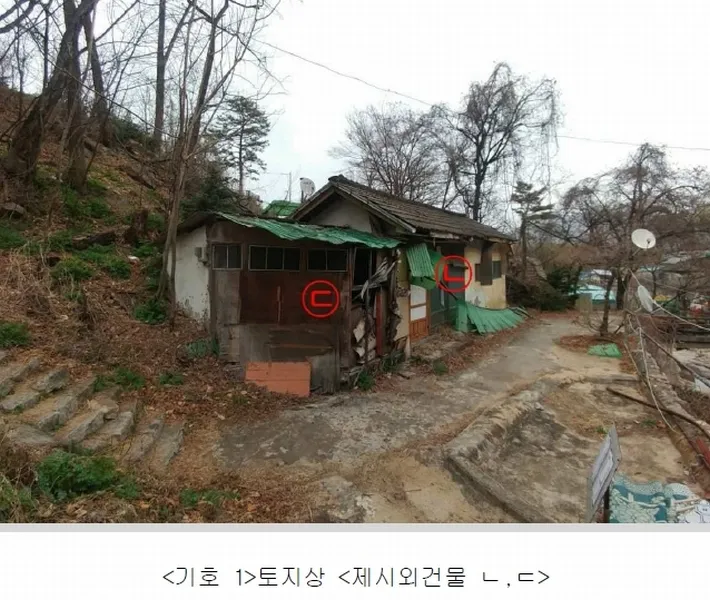 사진 5