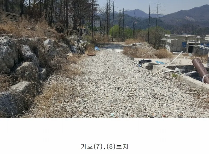 사진 10