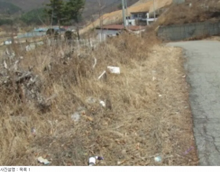 사진 11