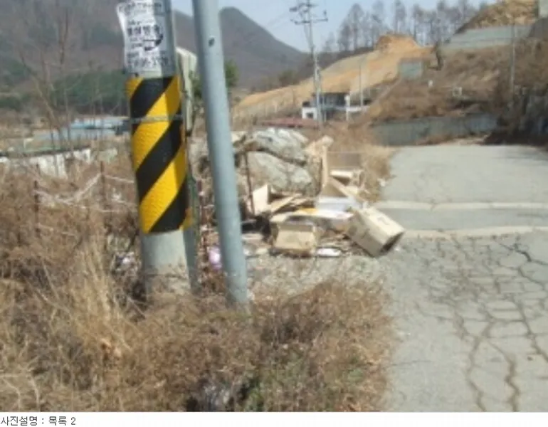사진 12