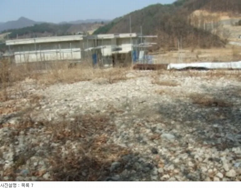사진 25