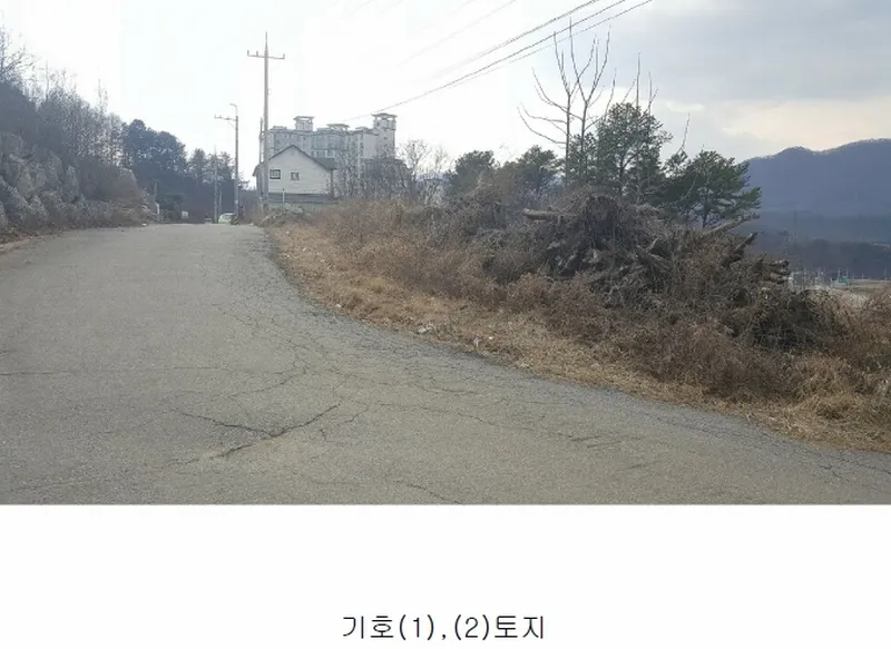사진 3