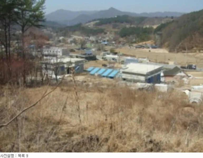 사진 31