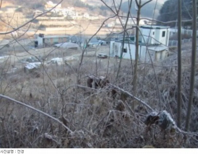 사진 35