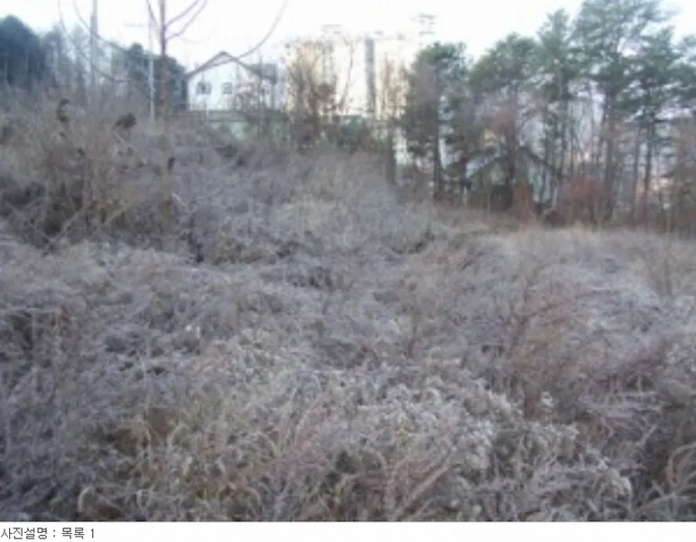 사진 36