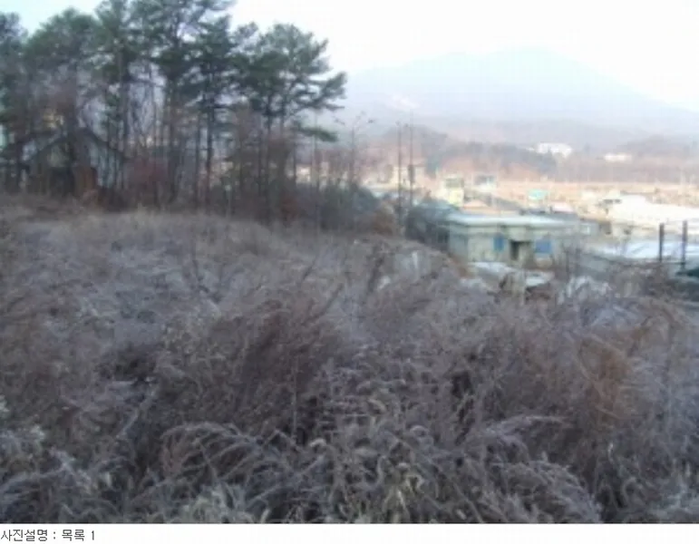 사진 37