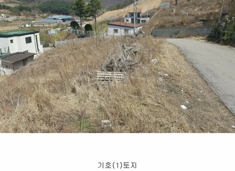 사진 4