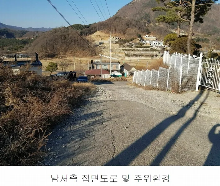 사진 41