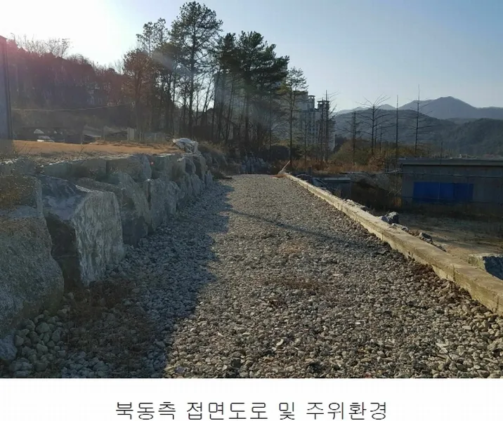 사진 42
