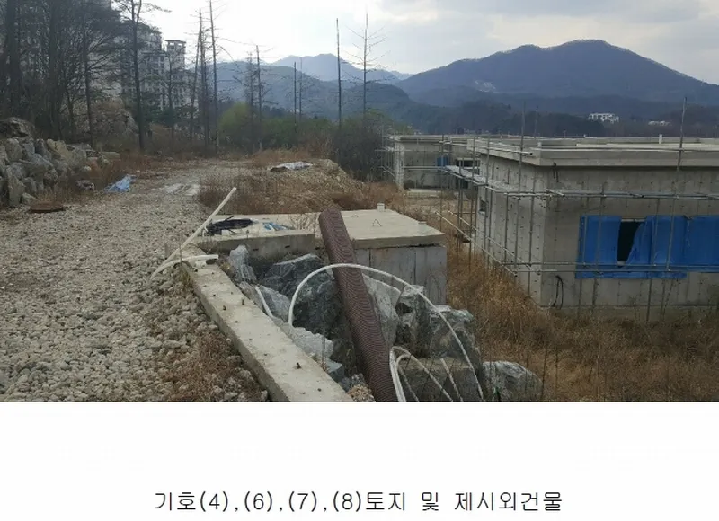 사진 5
