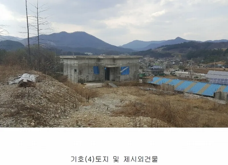 사진 6