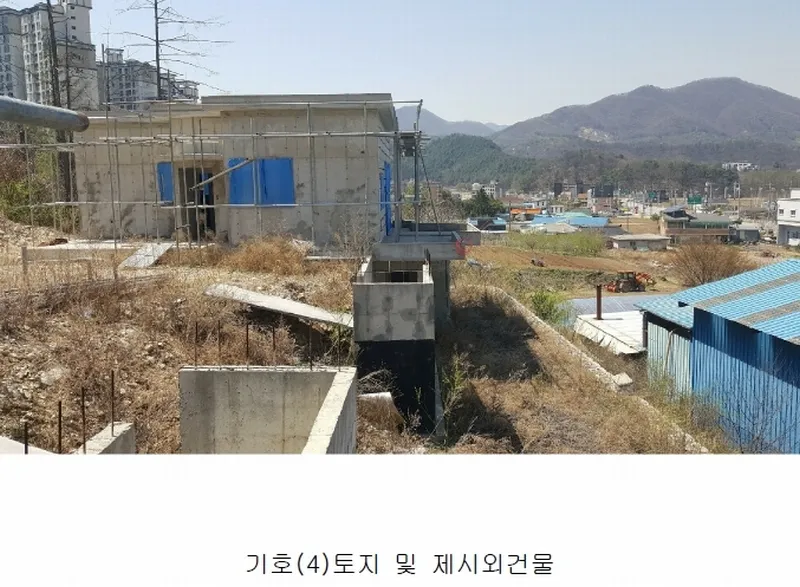 사진 7