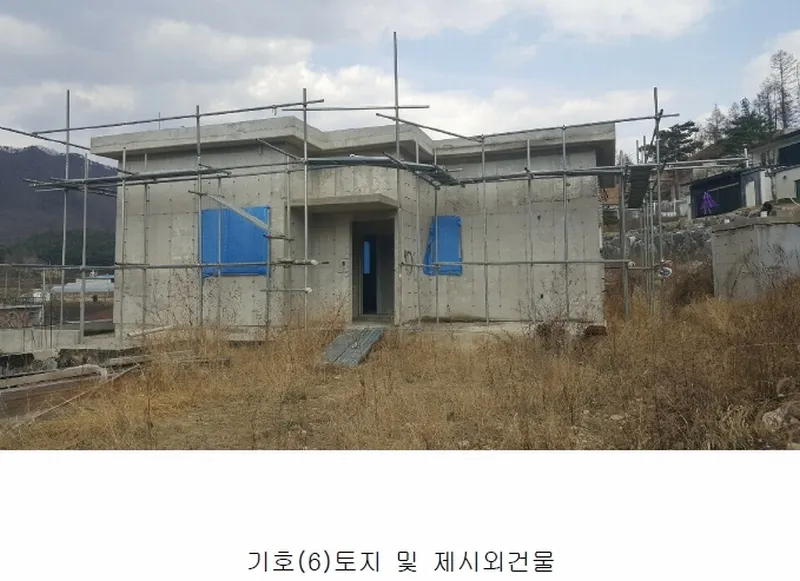 사진 8