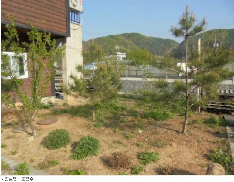 사진 25