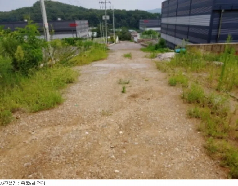 사진 30