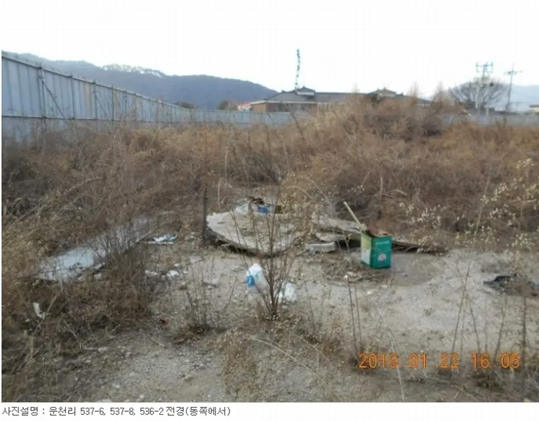 사진 11