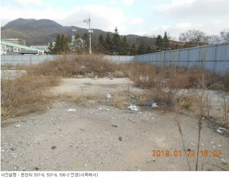 사진 12