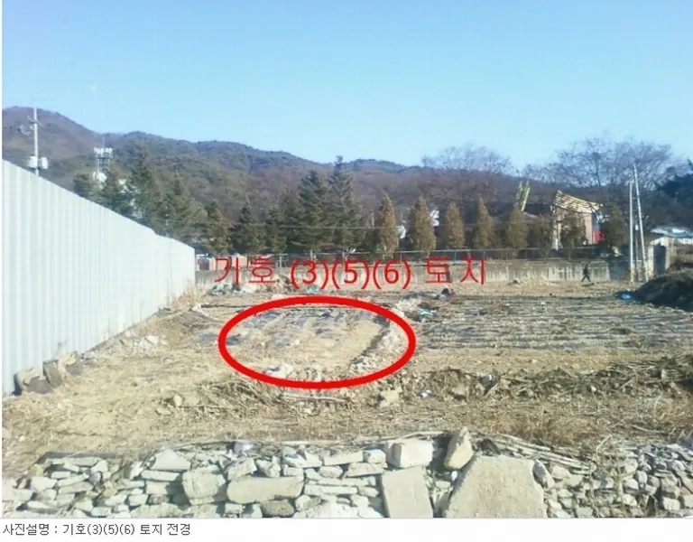 사진 3
