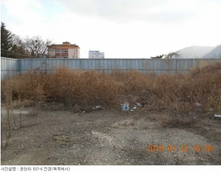 사진 5