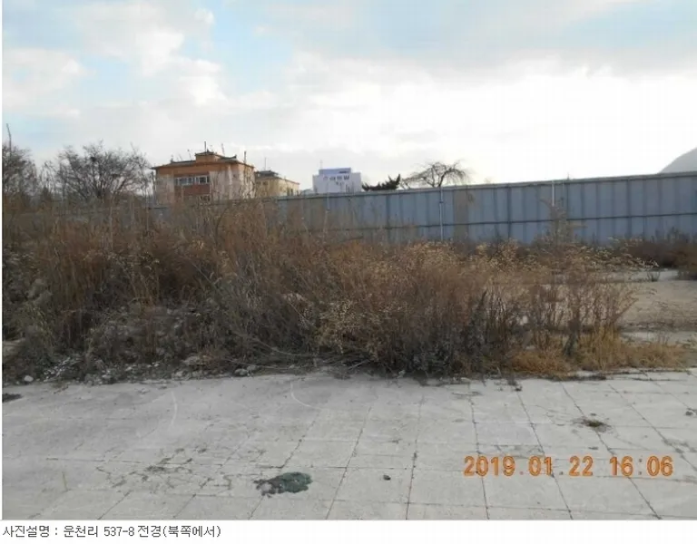 사진 6