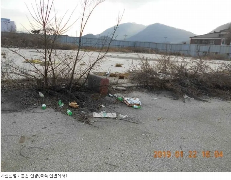 사진 8