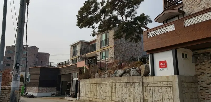 사진 2