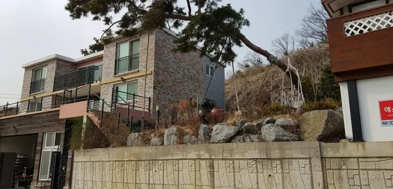 사진 3