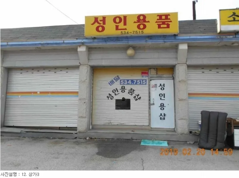 사진 15
