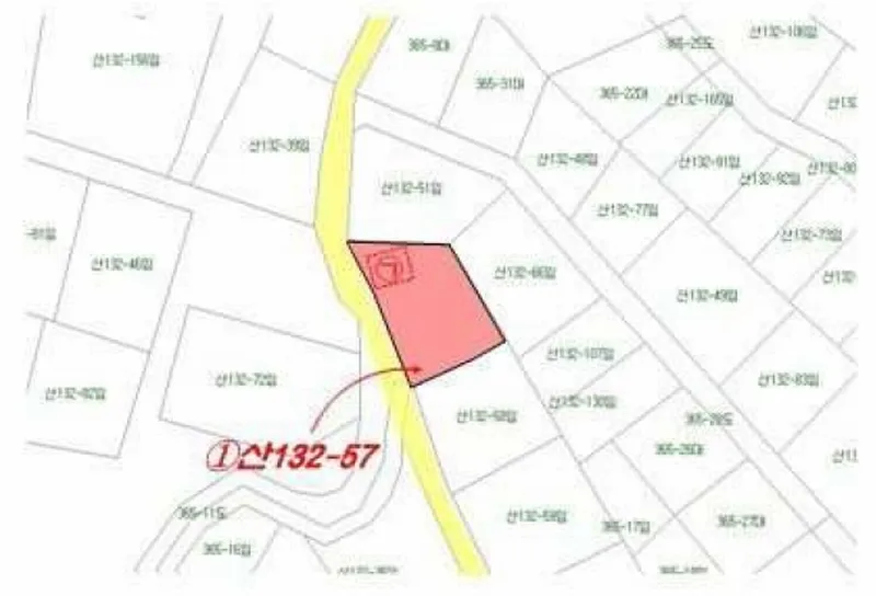 사진 11