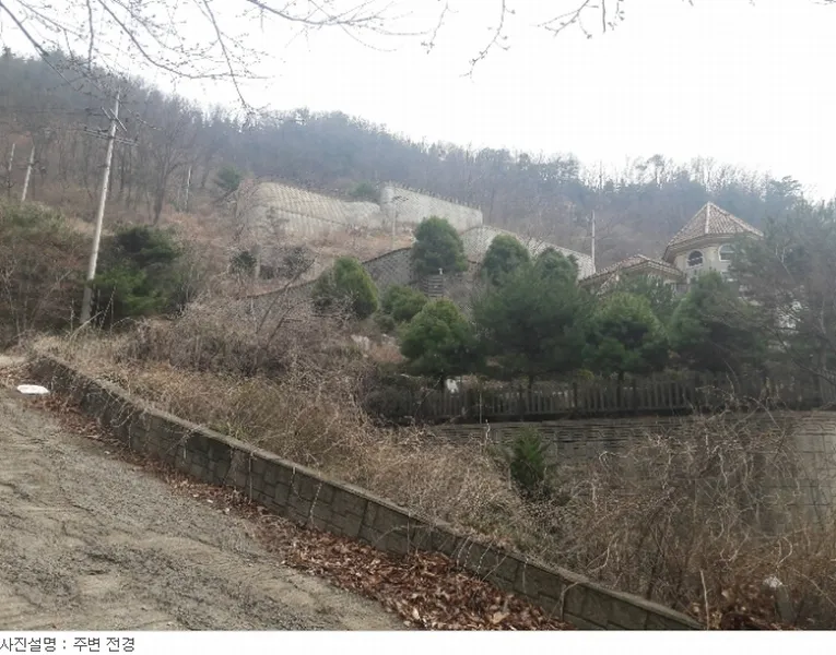 사진 5