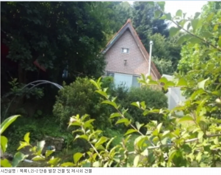사진 14