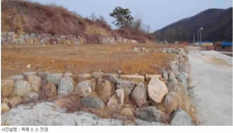 사진 15