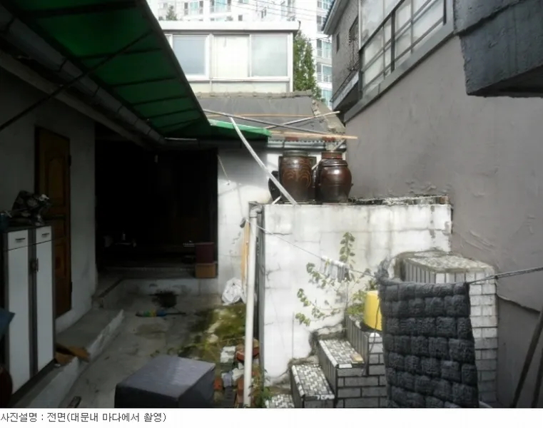사진 8