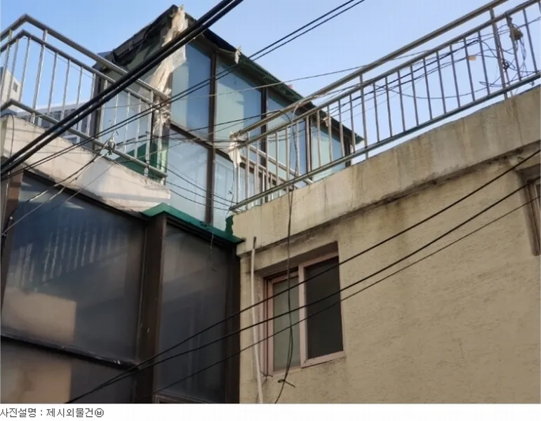 사진 13