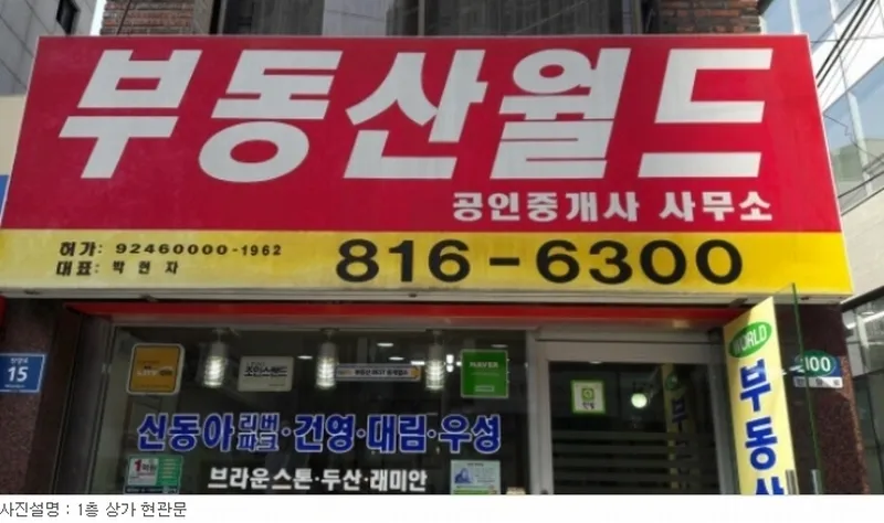 사진 15