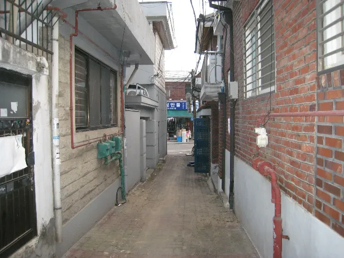 사진 14