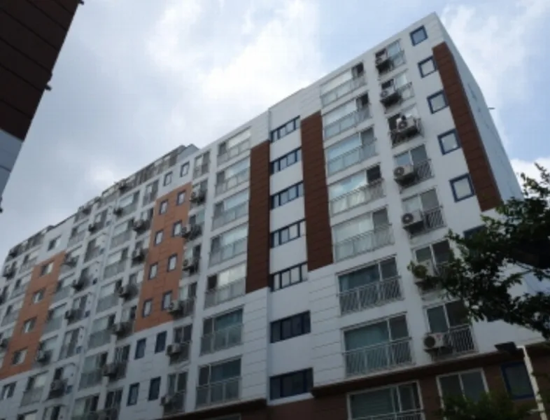 사진 3