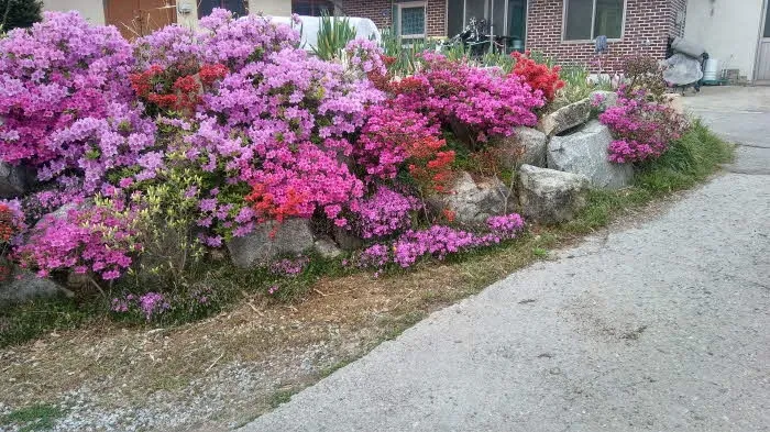 경기도 안성시 도기동 190