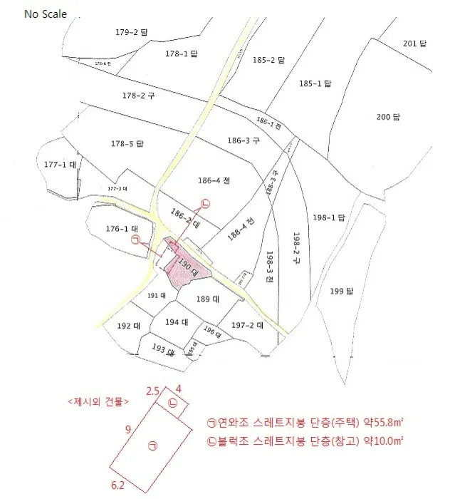 사진 10